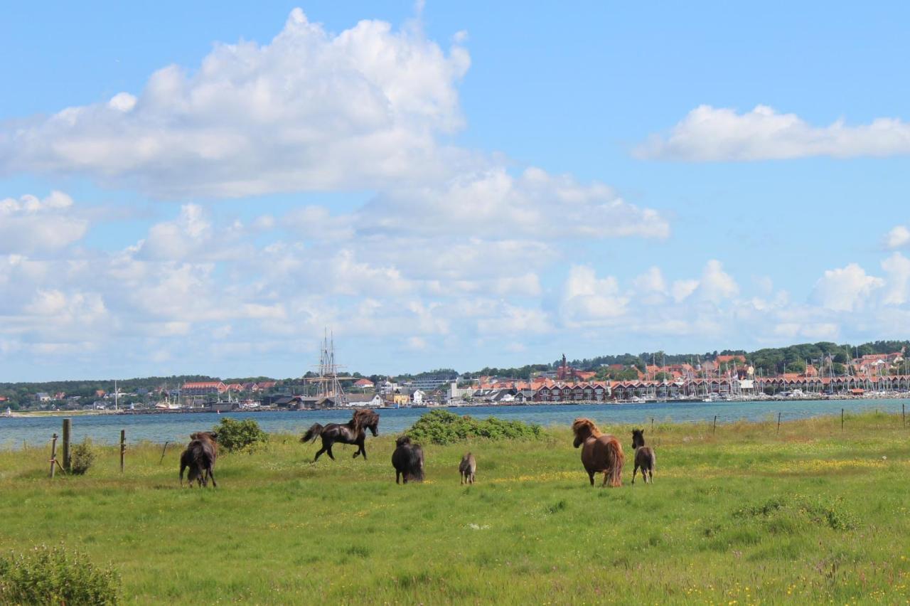 Stutteri Ahl Near Beach And Town Ebeltoft Eksteriør bilde